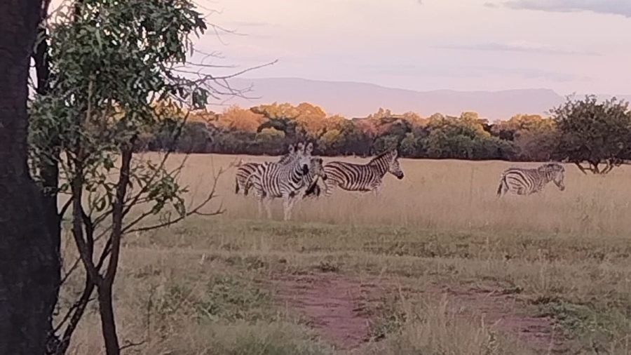 0 Bedroom Property for Sale in Rustenburg Rural North West